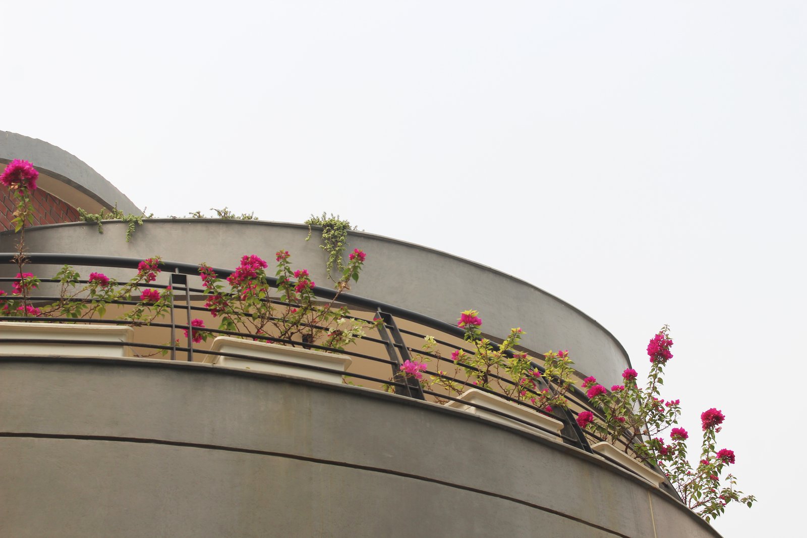 Vault House